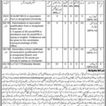 District & Session Court ( BPS-03 TO BPS-16 ) Jobs 2024