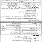 Pakistan Rangers ( BPS-05 To BPS-13 ) Jobs 2024