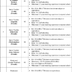 Cantt Public Educational Institution Lahore Jobs 2024