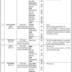 Ministry Of Foreign Affairs Islamabad Jobs 2024 