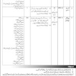 Finance Division Islamabad Jobs 2024