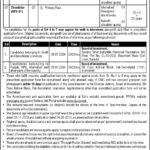 Prime Minister Office Board of Investment Islamabad Jobs 2024
