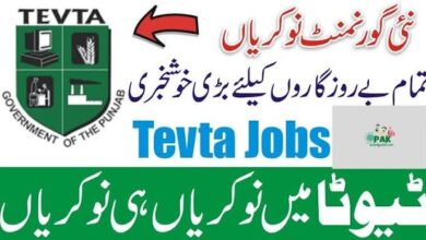 TEVTA Technical Education & Vocational Training Authority Faisalabad Jobs 2023