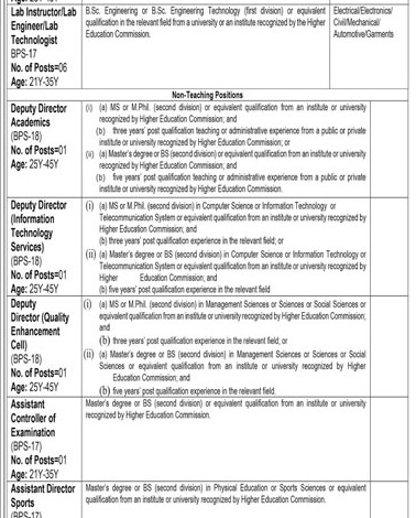 Advertisement For Punjab Tianjin University of Technology Lahore Jobs 2023