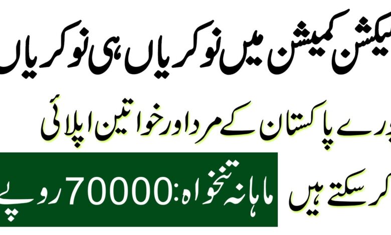 ECP Election Commission of Pakistan Data Entry Operator Jobs 2023