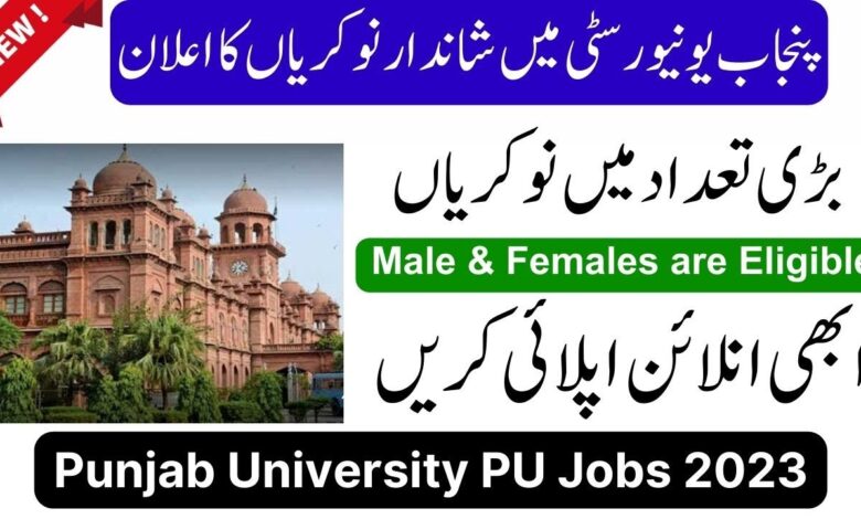Punjab University Of Technology Rasul Job Opportunities 2023