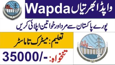 WAPDA Jobs 2023 Download Application Form Online ots.org.pk