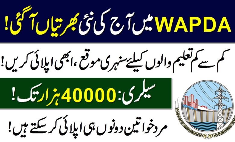 Water & Power Development Authority WAPDA Job Opportunities 2023