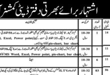 Deputy Commissioner Office Latest Job Opportunities 2024