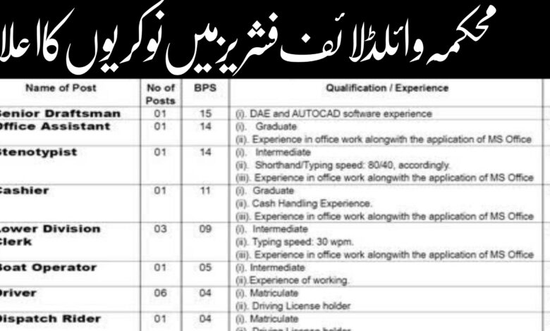 Wildlife And Fisheries Department Latest Jobs March 2024