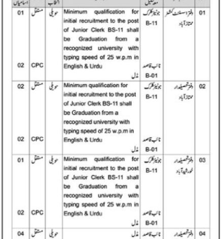Advertisement Deputy Commissioner Office Latest Job Opportunities 2024