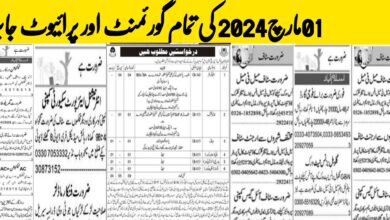 Today Jobs 1 March 2024 All Jobs Government & Private Employement Opportunities