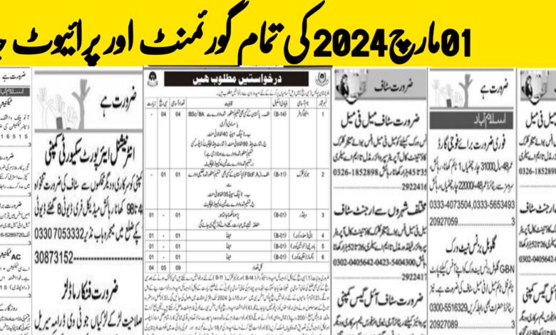 Today Jobs 1 March 2024 All Jobs Government & Private Employement Opportunities