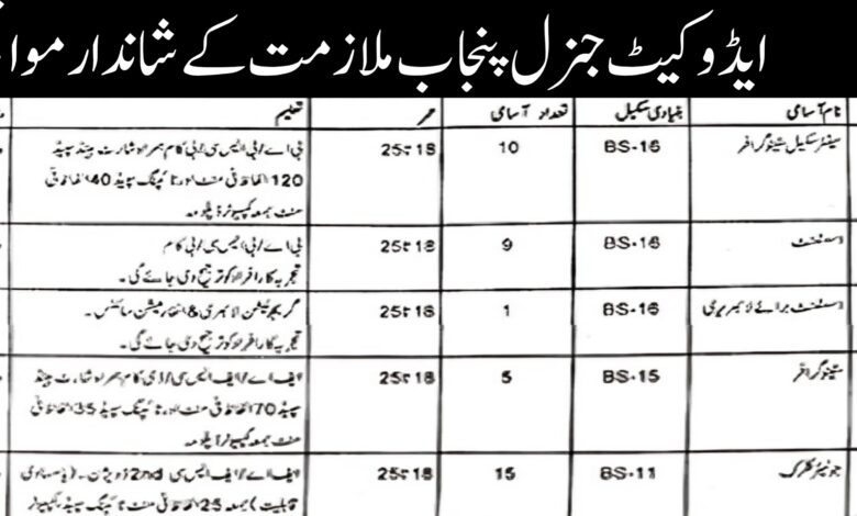 Advocate General Punjab Lahore Latest Employement Opportunities 2024