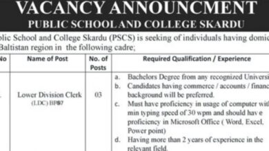 Public School and College Skardu LDC Clerk Job Opportunities 2024