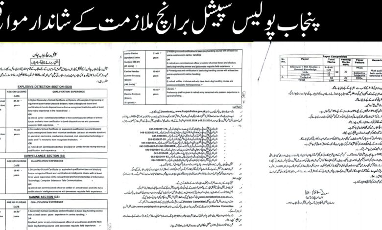 Special Branch Punjab Police Latest Job Advertisement March 2024