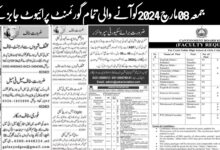 Today Friday 08 March 2024 All Jobs Governement & Private Latest Advertisement