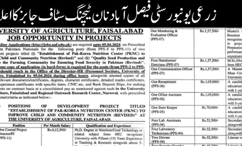 UAF Faisalabad Latest Job Opportunities 2024
