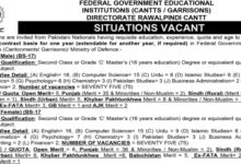 FGEI Rawalpindi Latest Male Female Lecturer Job Opportunities 2024