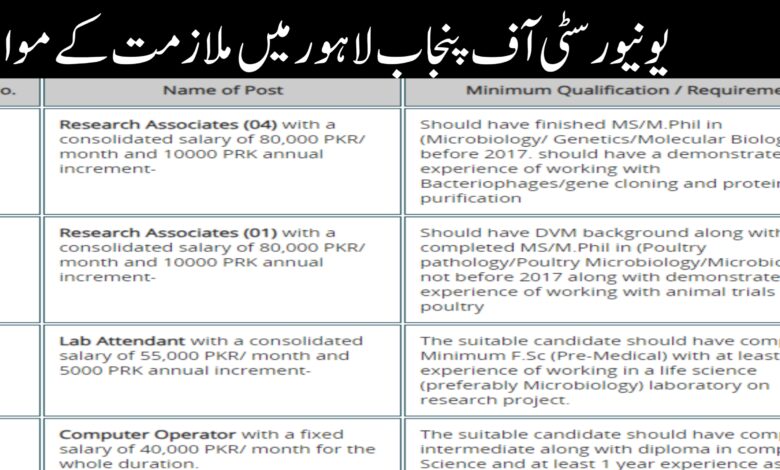 UOP Lahore Research Staff Jobs 2024