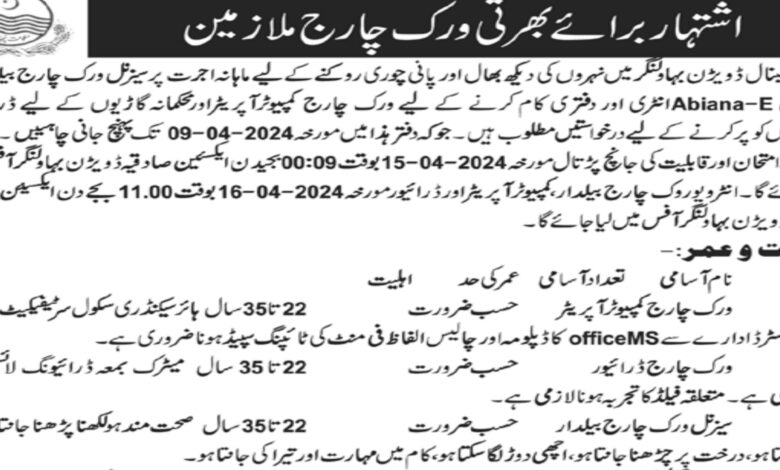 Punjab Canal Division Jobs 2024