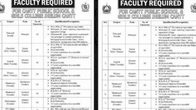 Cantt Public School And Girls College Jobs 2024