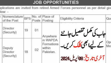 WAPDA Job Opportunities 2024