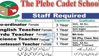 The Plebe Cadet School Jobs 2024