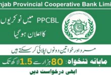PPCBL Bank Lahore Jobs 2024