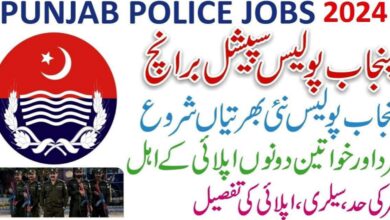 Special Branch Punjab Police Jobs 2024