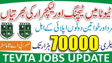 TEVTA Lahore Visiting Instructor (BPS-16) Jobs 2024