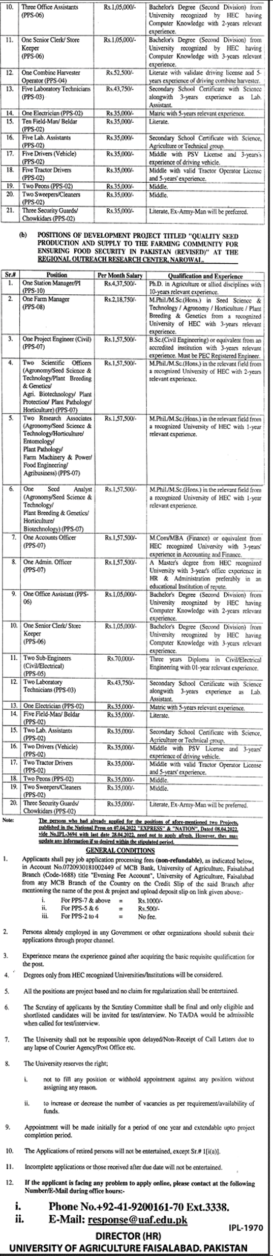 UAF Faisalabad Latest Job Opportunities 2024