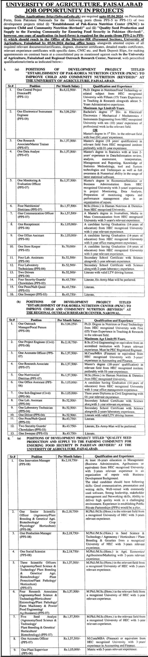 UAF Faisalabad Latest Job Opportunities 2024 