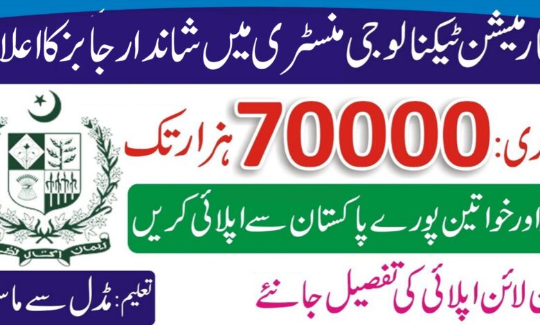 MOIT Lahore Jobs 2024