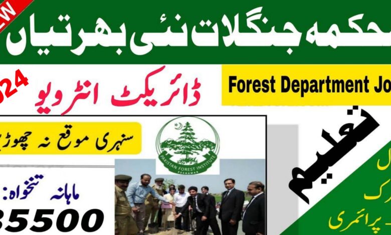 Punjab Wildlife & Parks Department Lahore Jobs April 2024