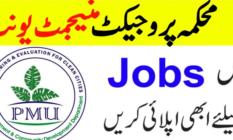 PMU Lahore Jobs 2024