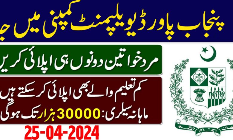 PPDCL Jobs 2024