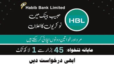 HBL Habib Bank Limited Jobs 2024