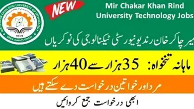 Mir Chakar Khan Rind University Of Technology DG Khan Jobs 2024