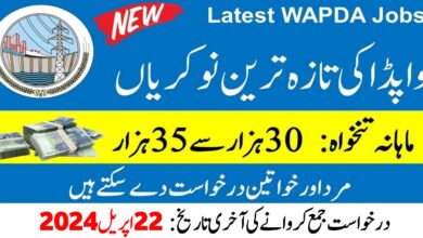 Wapda Lahore Jobs 2024
