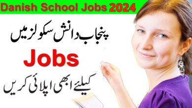 Punjab Danish Schools and Centers of Excellence Authority Jobs 2024
