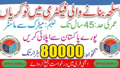 Composite Ordnance Depot COD Pak Army Jobs 2024