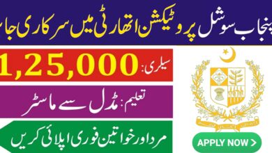PSPA Lahore Jobs 2024