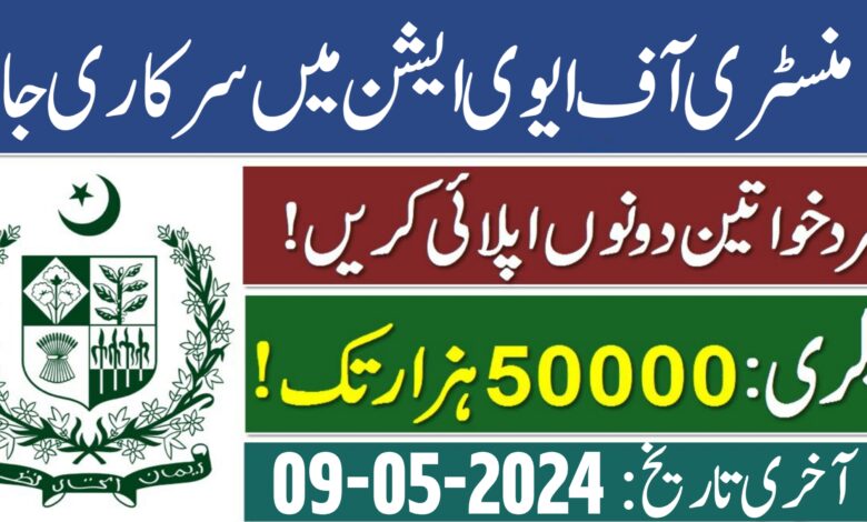 Ministry Of Aviation Islamabad Jobs 2024