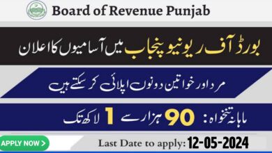 Punjab Board of Revenue Lahore Jobs 2024