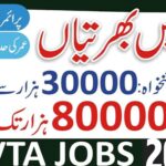 Technical Education & Vocational Training Authority TEVTA Jobs 2024