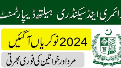 Primary & Secondary Healthcare Department Lahore Jobs 2024