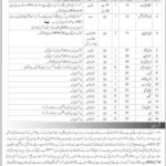 C&SC Command and Staff College Quetta Cannt Jobs 2024