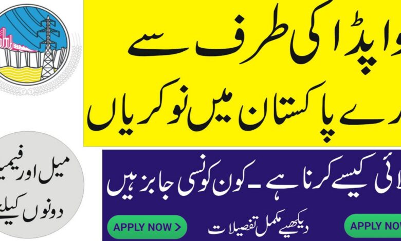 WAPDA Lahore Jobs 2024