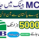 MCB Bank Limited ( Relationship Manager ) Jobs 2024